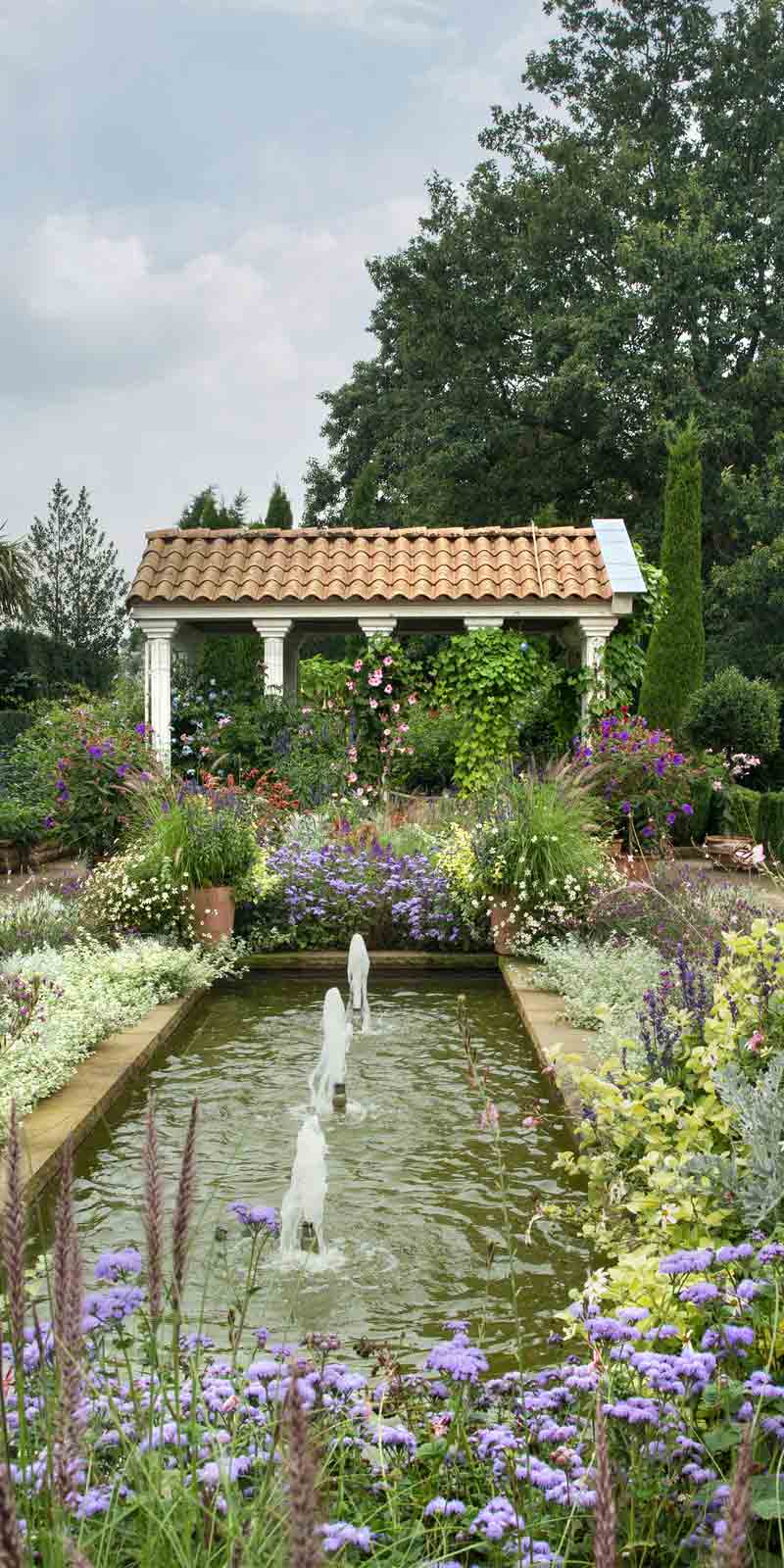 Arboretum Northern Germany, Garden, Gardening, Garten, Pflanzen, Plants, Outdoor, Draußen, grün, green,