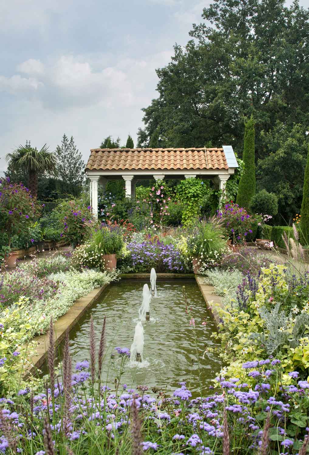 Arboretum Northern Germany, Garden, Gardening, Garten, Pflanzen, Plants, Outdoor, Draußen, grün, green,