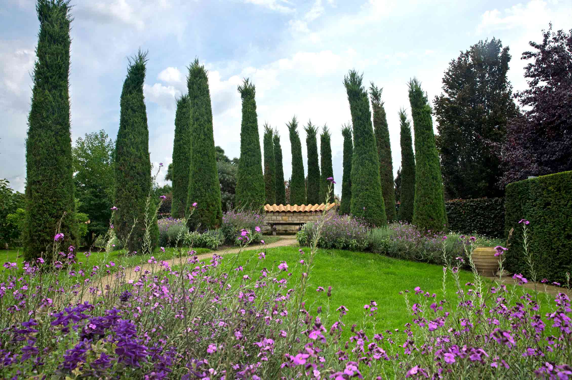 Arboretum Northern Germany, Garden, Gardening, Garten, Pflanzen, Plants, Outdoor, Draußen, grün, green,