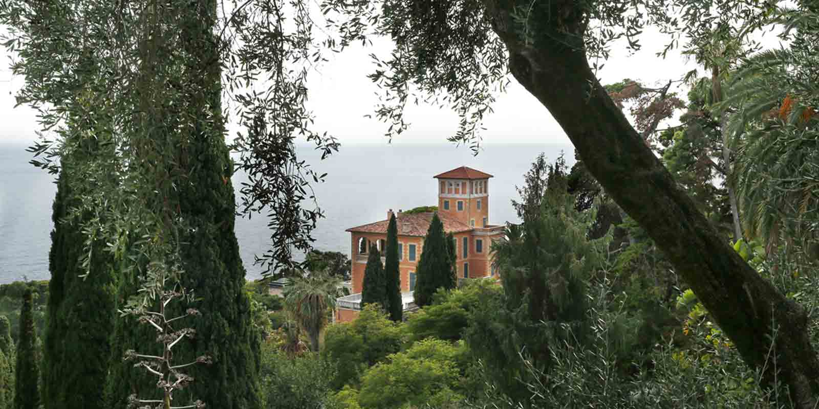 Mediterranean garden France, Gardening, Garten, Pflanzen, Plants, Outdoor, Draußen, grün, green, grüner Daumen, green Thumb, mediterranean, mediterran