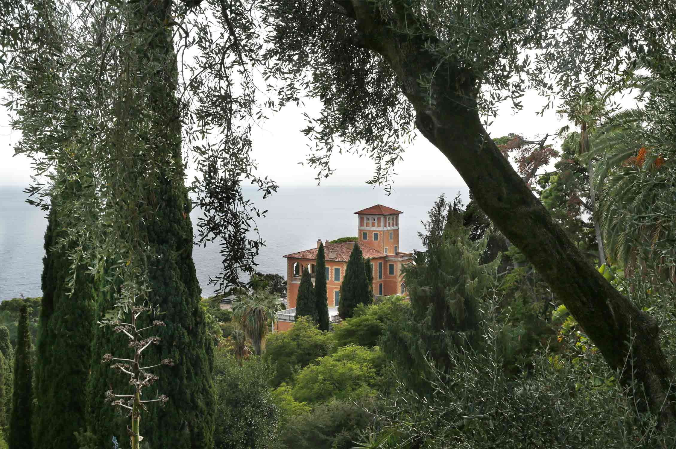 Mediterranean garden France, Gardening, Garten, Pflanzen, Plants, Outdoor, Draußen, grün, green, grüner Daumen, green Thumb, mediterranean, mediterran