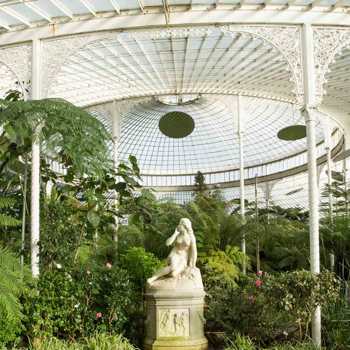 Glasgow Botanical Garden, Greenhouse, Gewächshaus, Gardening, Garten, Pflanzen, Plants, grün, green, grüner Daumen, green Thumb, Palmen, Palms