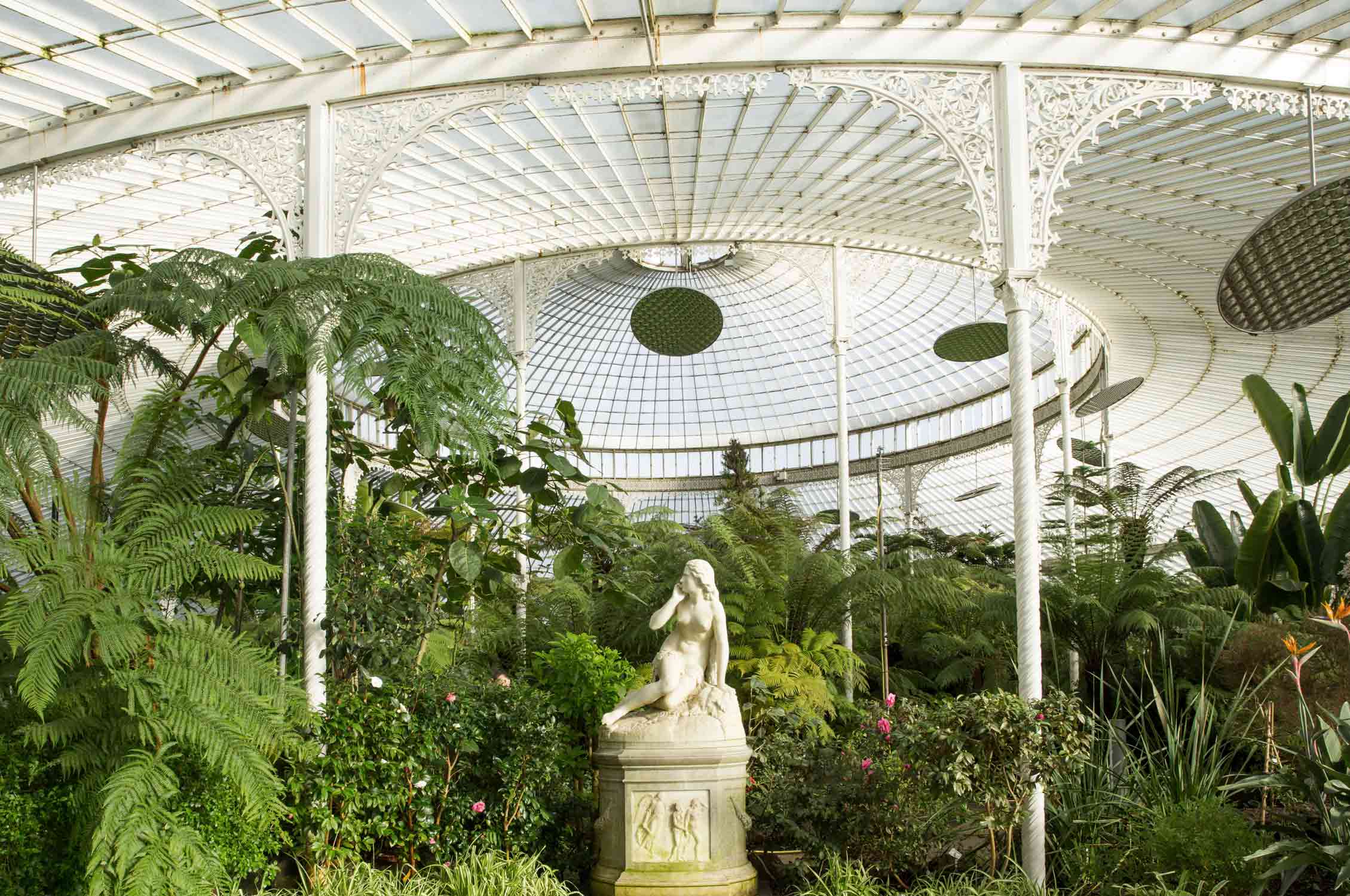 Glasgow Botanical Garden, Greenhouse, Gewächshaus, Gardening, Garten, Pflanzen, Plants, grün, green, grüner Daumen, green Thumb, Palmen, Palms