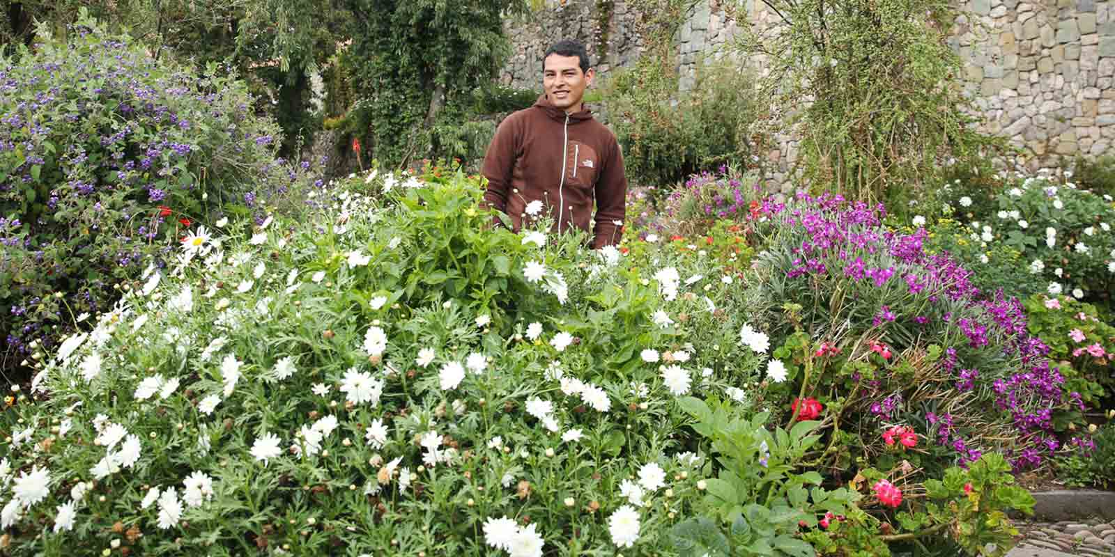 School garden Cusco, Peru, Gardening, Garten, Pflanzen, Plants, Outdoor, Draußen, grün, green, grüner Daumen, green Thumb, Schulgarten, Campus