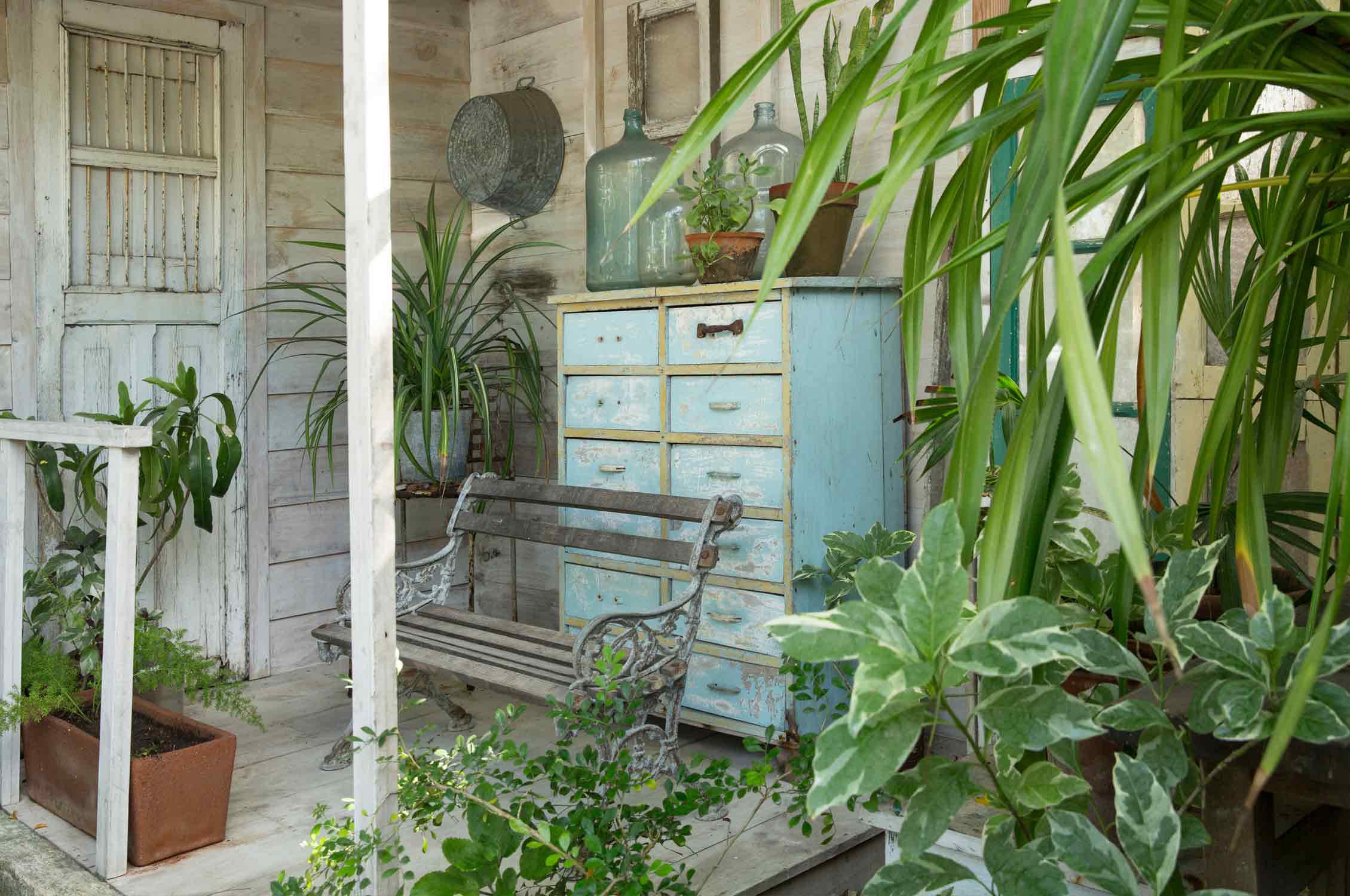 Garden restaurant Tulum, Mexico,  Gardening, Garten, Pflanzen, Plants, Outdoor, Draußen, grün, green, grüner Daumen, green Thumb, fresh food, frische Früchte, Fruits