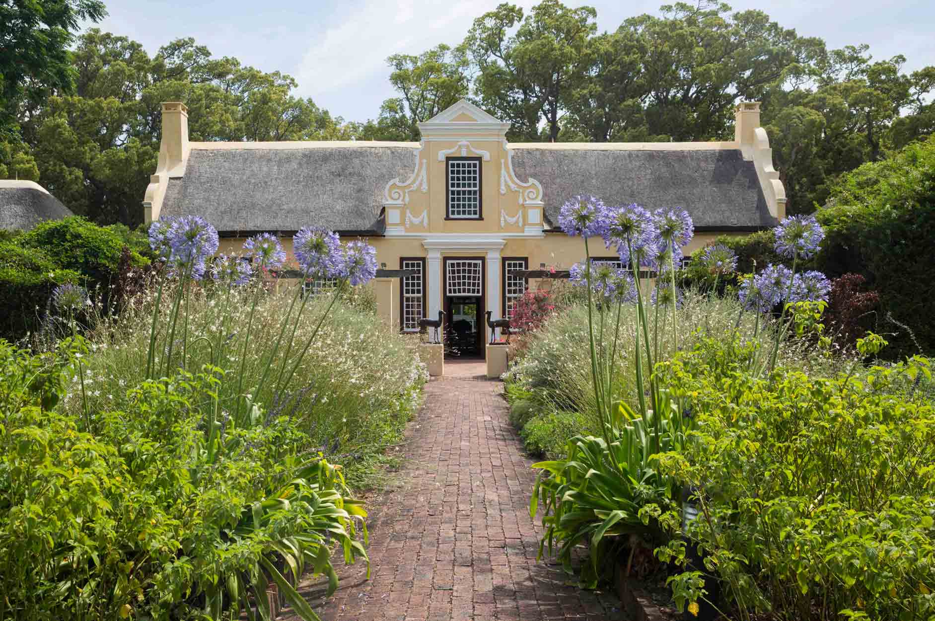 South African Wine Estate, Gardening, Garten, Pflanzen, Plants, Outdoor, Draußen, grün, green, grüner Daumen, green Thumb, Wein, Winzer, Südafrika,  Tradition, Tradition, traditionell, traditional, Natur, nature, natural