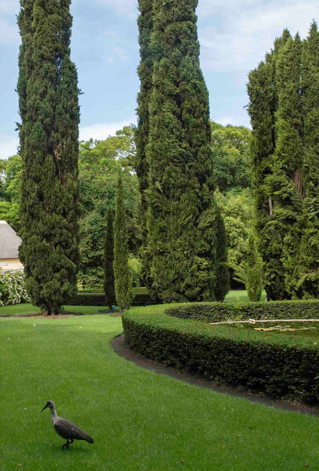 South African Wine Estate, Gardening, Garten, Pflanzen, Plants, Outdoor, Draußen, grün, green, grüner Daumen, green Thumb, Wein, Winzer, Südafrika,  Tradition, Tradition, traditionell, traditional, Natur, nature, natural