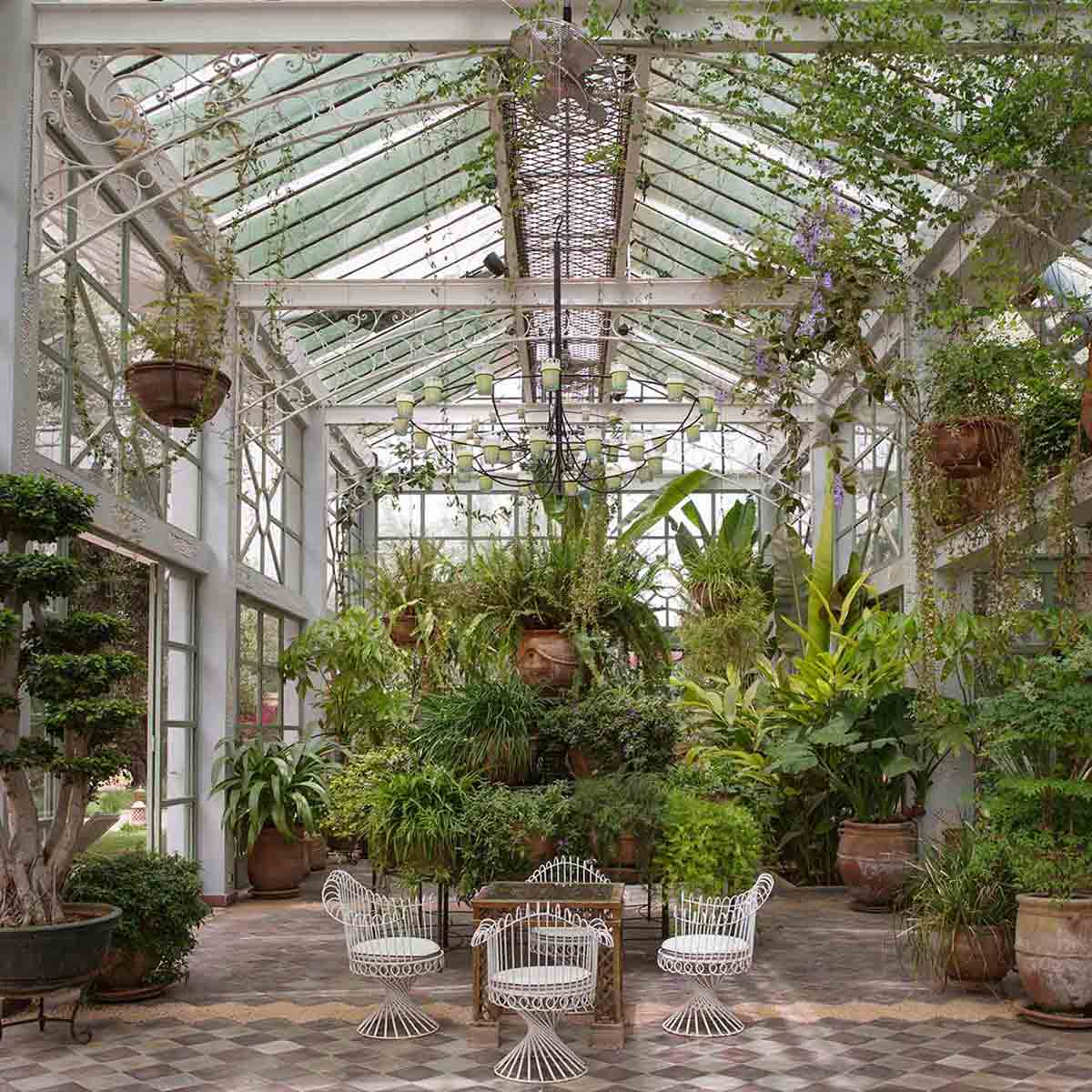 , Gardening, Garten, Pflanzen, Plants, Outdoor, Draußen, grün, green, grüner Daumen, green Thumb, desert, Wüste, Rosen, Rosmarin, Orientalisch, Orient, Marokko,  Tradition, Tradition, traditionell, traditional, Natur, nature, natural, Spa