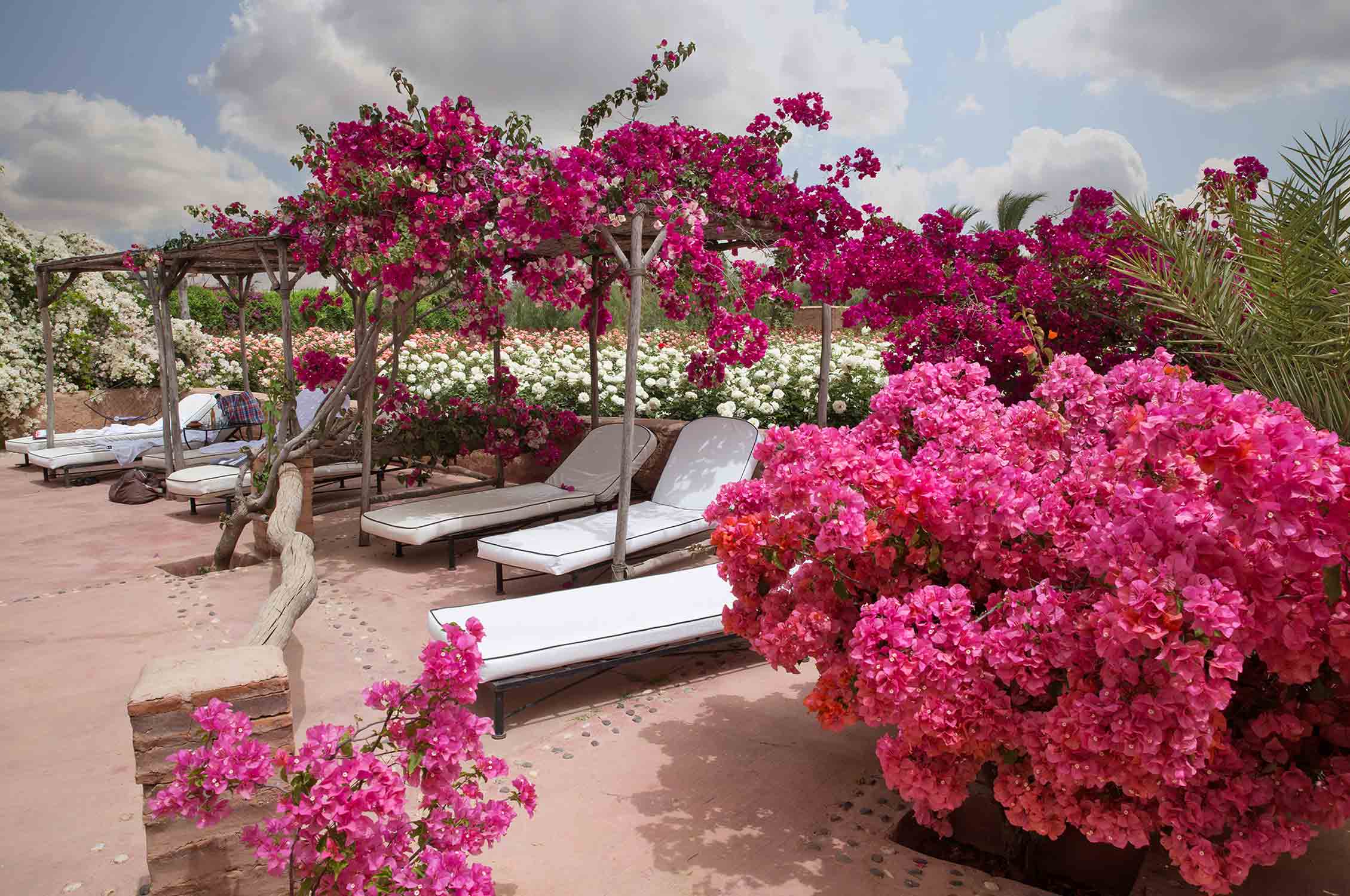 , Gardening, Garten, Pflanzen, Plants, Outdoor, Draußen, grün, green, grüner Daumen, green Thumb, desert, Wüste, Rosen, Rosmarin, Orientalisch, Orient, Marokko,  Tradition, Tradition, traditionell, traditional, Natur, nature, natural, Spa