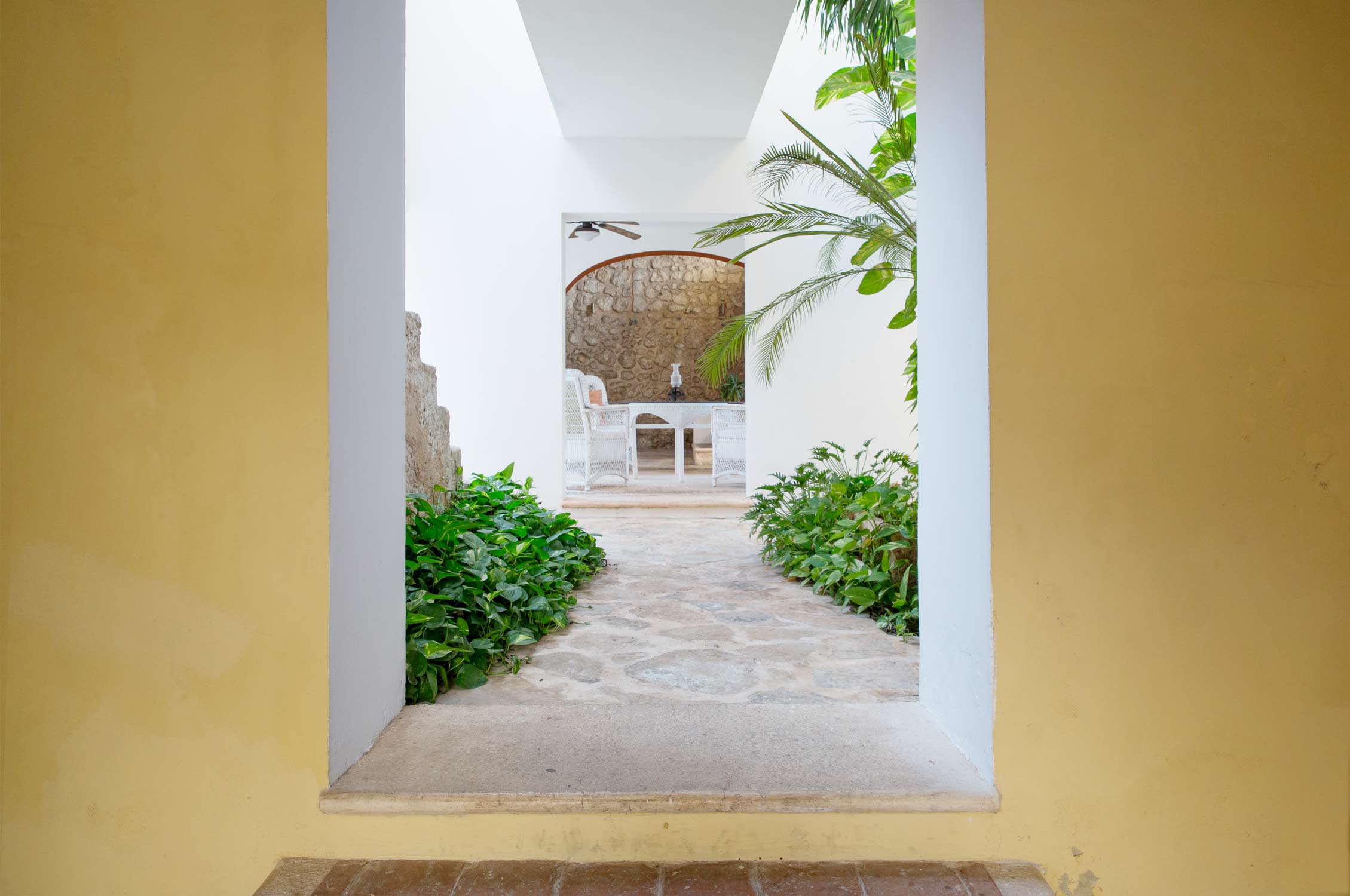 Boutique Hotel Campeche, Mexico, Hotel, Gardening, Garten, Pflanzen, Plants, Outdoor, Draußen, grün, green, grüner Daumen, green Thumb, Tradition, Tradition, traditionell, traditional, tropical, colonial, Kolonialstil