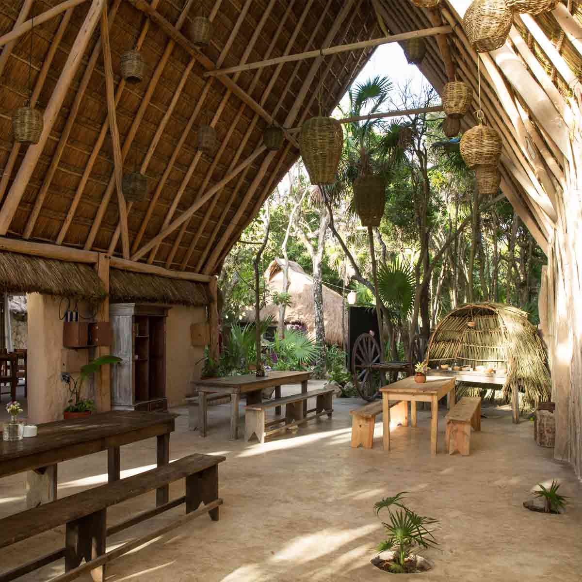 Beach Club Carmen del Playa, Mexico,  Gardening, Garten, Pflanzen, Plants, Outdoor, Draußen, grün, green, grüner Daumen, green Thumb, Tradition, Tradition, traditionell, traditional, tropical, glamping, Strandclub